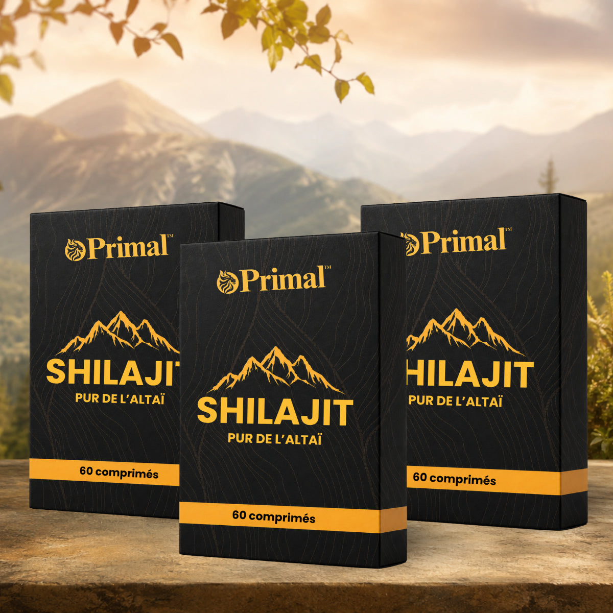 Primal CA