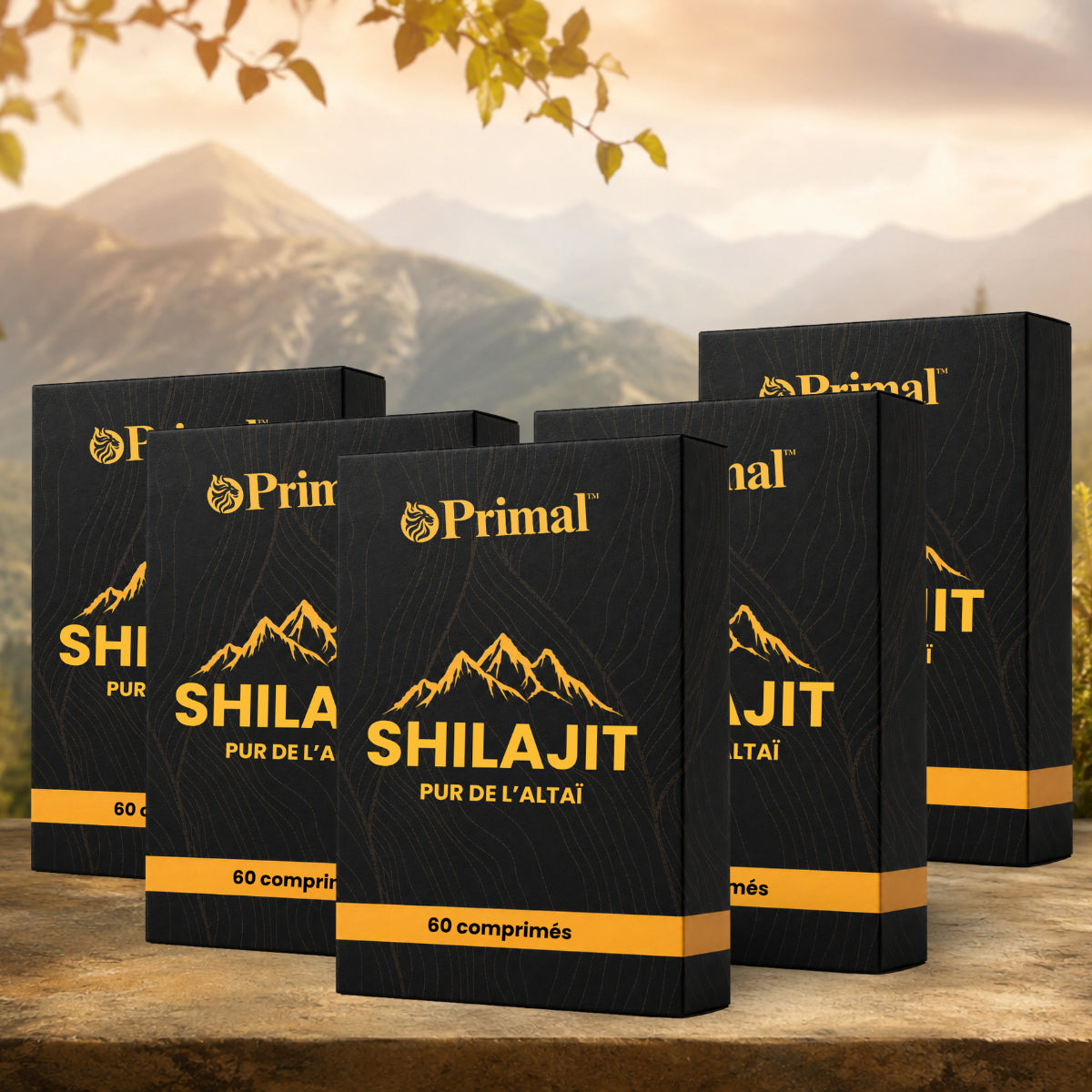 Primal CA